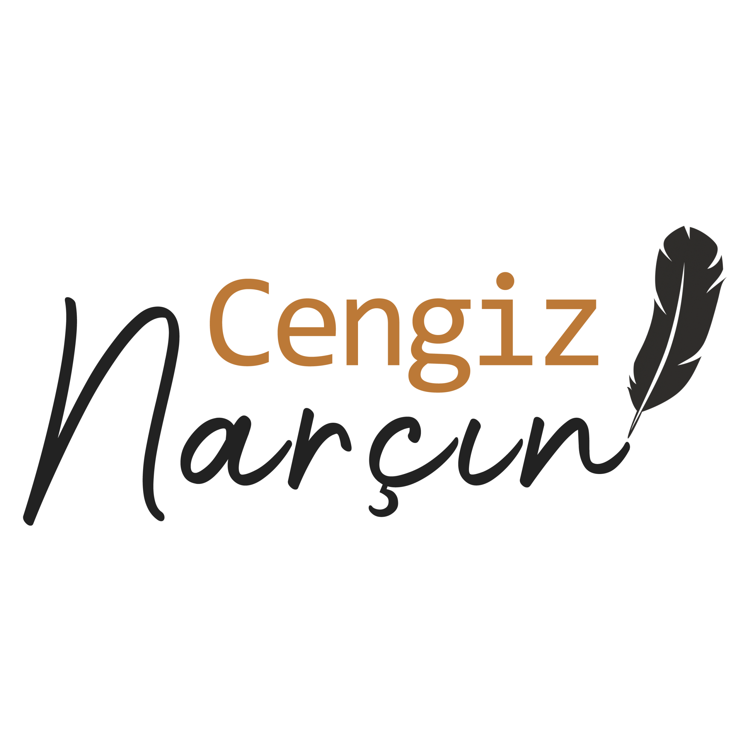 Cengiz Nar&ccedil;ın