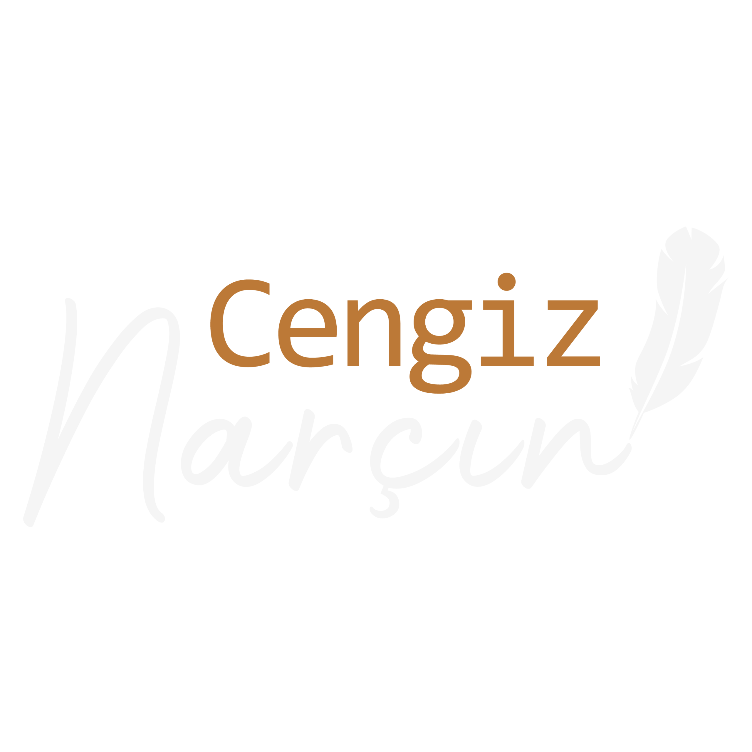 Cengiz Narçın